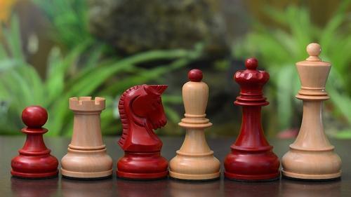 chess for beginners  ChessCentral's Blog